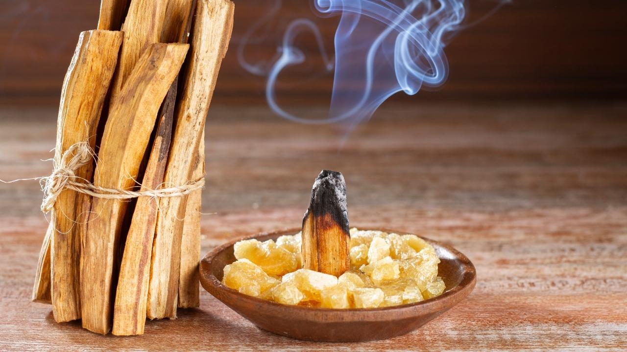 scent of palo santo what does it smell like